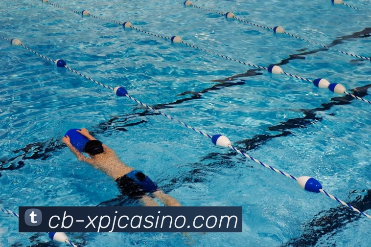 澳门新葡京娱乐平台生态图