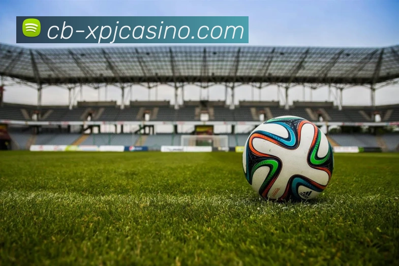 澳门新葡京娱乐全站App